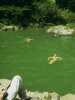 [thumbnail of Picture 16]
