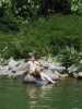 [thumbnail of Picture 19]