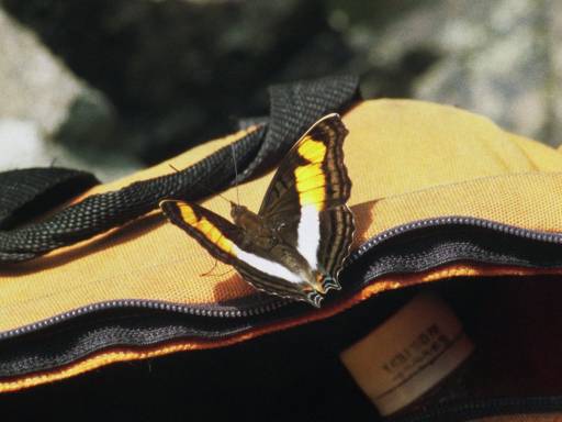 ImageImage0024.web.jpg