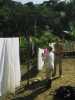 [thumbnail of Picture 24]