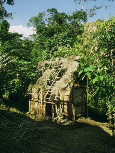 ImageImage0026.web.jpg