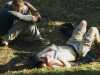 [thumbnail of Picture 26]