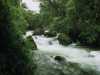 [thumbnail of Picture 32]