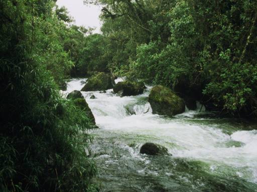 ImageImage0033.web.jpg