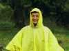 [thumbnail of Picture 36]