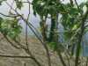 [thumbnail of Picture 3]