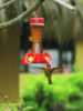 [thumbnail of Picture 4]