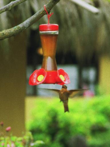 ImageImage0041.web.jpg