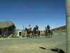 [thumbnail of Picture 1]