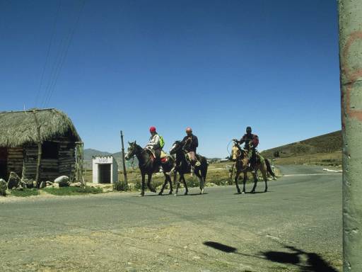 ImageImage0074.web.jpg