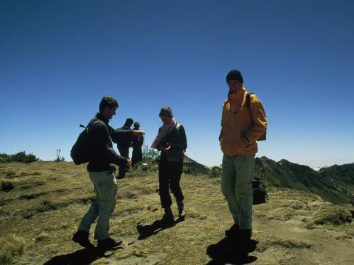 ImageImage0080.web.jpg