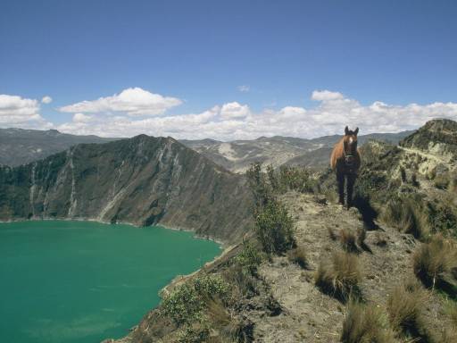 ImageImage0081.web.jpg