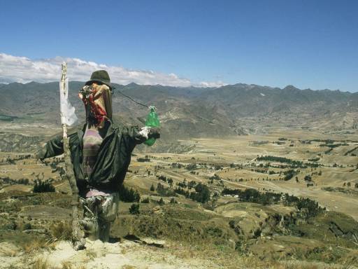 ImageImage0082.web.jpg