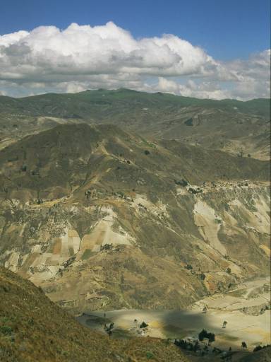 ImageImage0085.web.jpg