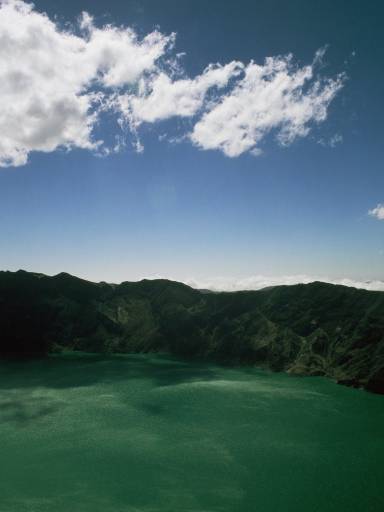 ImageImage0088.web.jpg