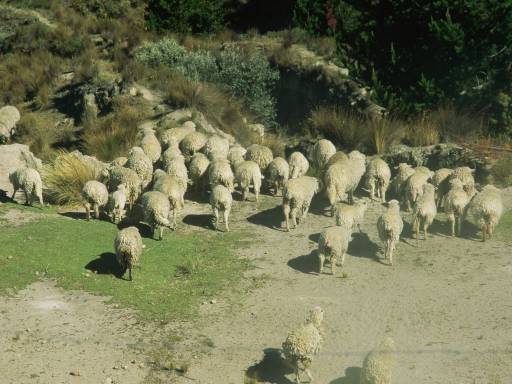 ImageImage0101.web.jpg
