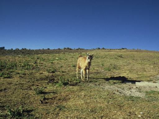 ImageImage0004.web.jpg