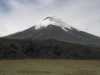 [thumbnail of Picture 16]