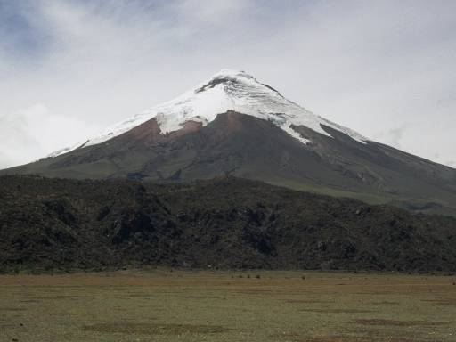 ImageImage0016.web.jpg