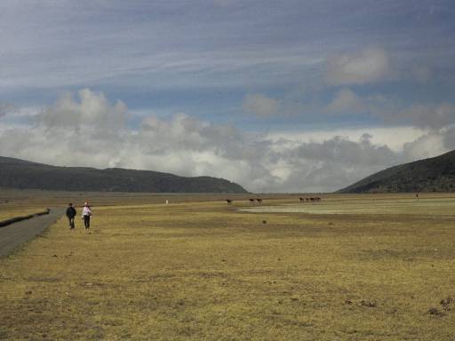ImageImage0019.web.jpg