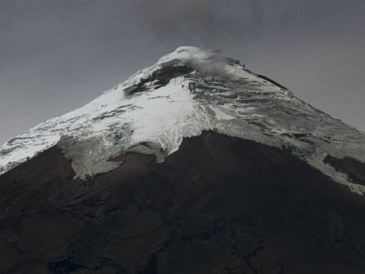 ImageImage0024.web.jpg