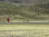 [thumbnail of Picture 27]