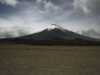 [thumbnail of Picture 30]