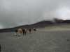 [thumbnail of Picture 33]