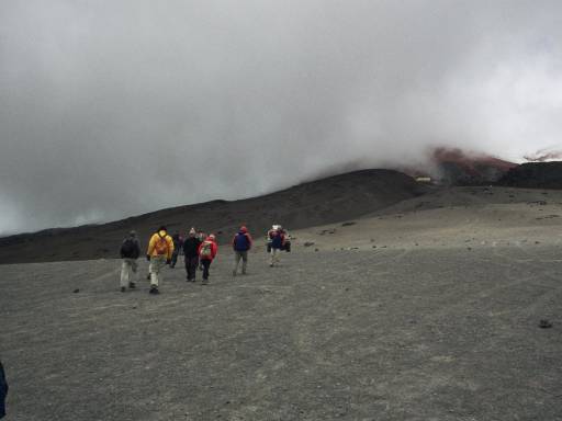 ImageImage0033.web.jpg