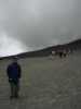 [thumbnail of Picture 34]