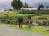 [thumbnail of Picture 23]