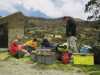 [thumbnail of Picture 25]