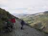 [thumbnail of Picture 29]