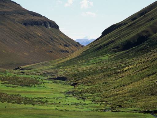 ImageImage0001.web.jpg