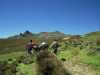 [thumbnail of Picture 5]