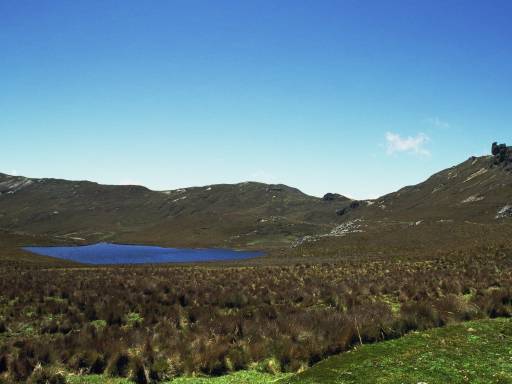 ImageImage0006.web.jpg