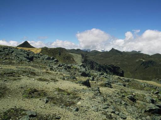 ImageImage0010.web.jpg