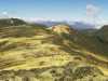 [thumbnail of Picture 16]