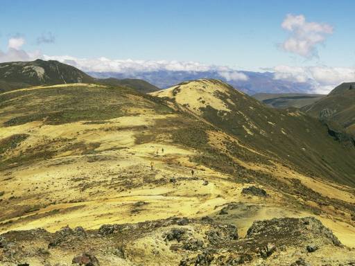 ImageImage0016.web.jpg