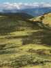 [thumbnail of Picture 17]