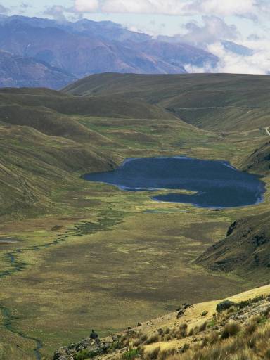 ImageImage0019.web.jpg