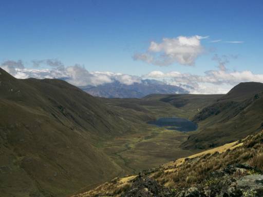 ImageImage0021.web.jpg