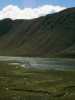 [thumbnail of Picture 23]