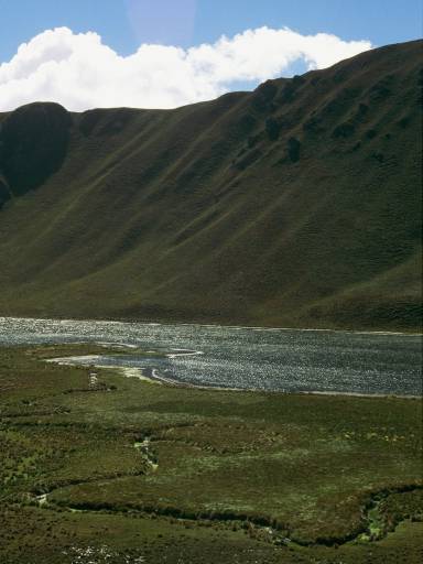 ImageImage0023.web.jpg