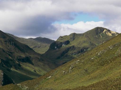 ImageImage0025.web.jpg