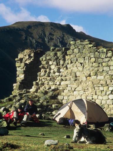 ImageImage0028.web.jpg