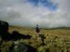[thumbnail of Picture 33]
