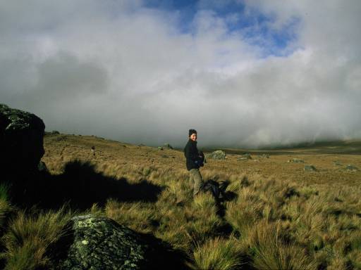 ImageImage0033.web.jpg