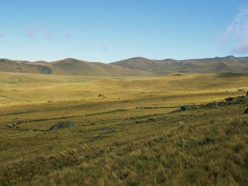 ImageImage0035.web.jpg