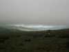 [thumbnail of Picture 36]
